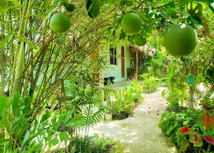 Las Palmas Bacalar